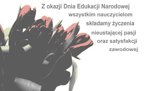 Bukiet pięknych czerwonych tulipanów z życzeniami na dzień Edukacji Narodowej